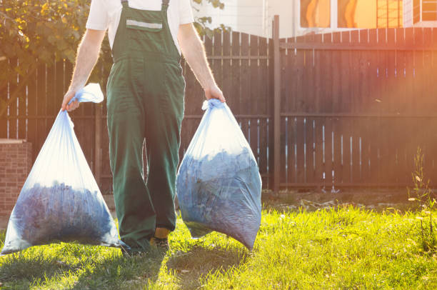 Best Yard Cleanup Services  in Waynesville, OH