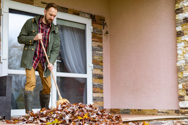 Best Junk Removal Near Me  in Waynesville, OH